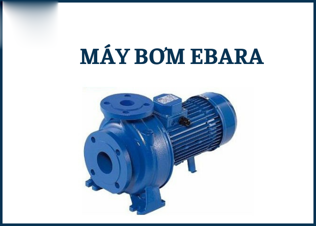 Máy bơm trục vít Roto